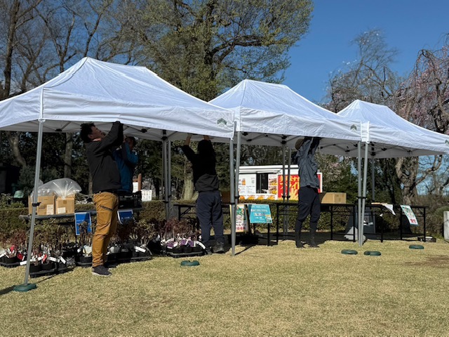 埼玉県東松山市にある「東松山ぼたん園」様へ設置 ワンタッチテント3基